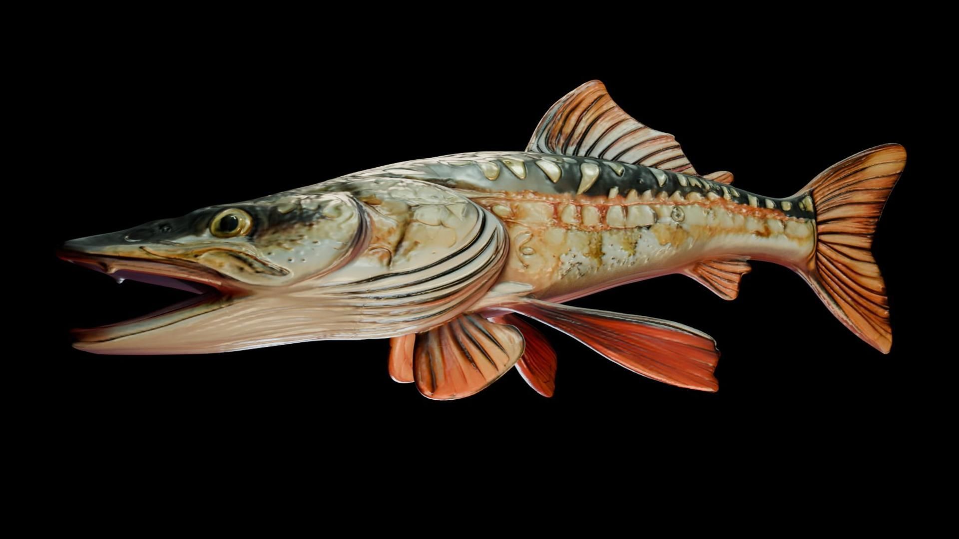 Trophy Fish Pike 2 3D model_2