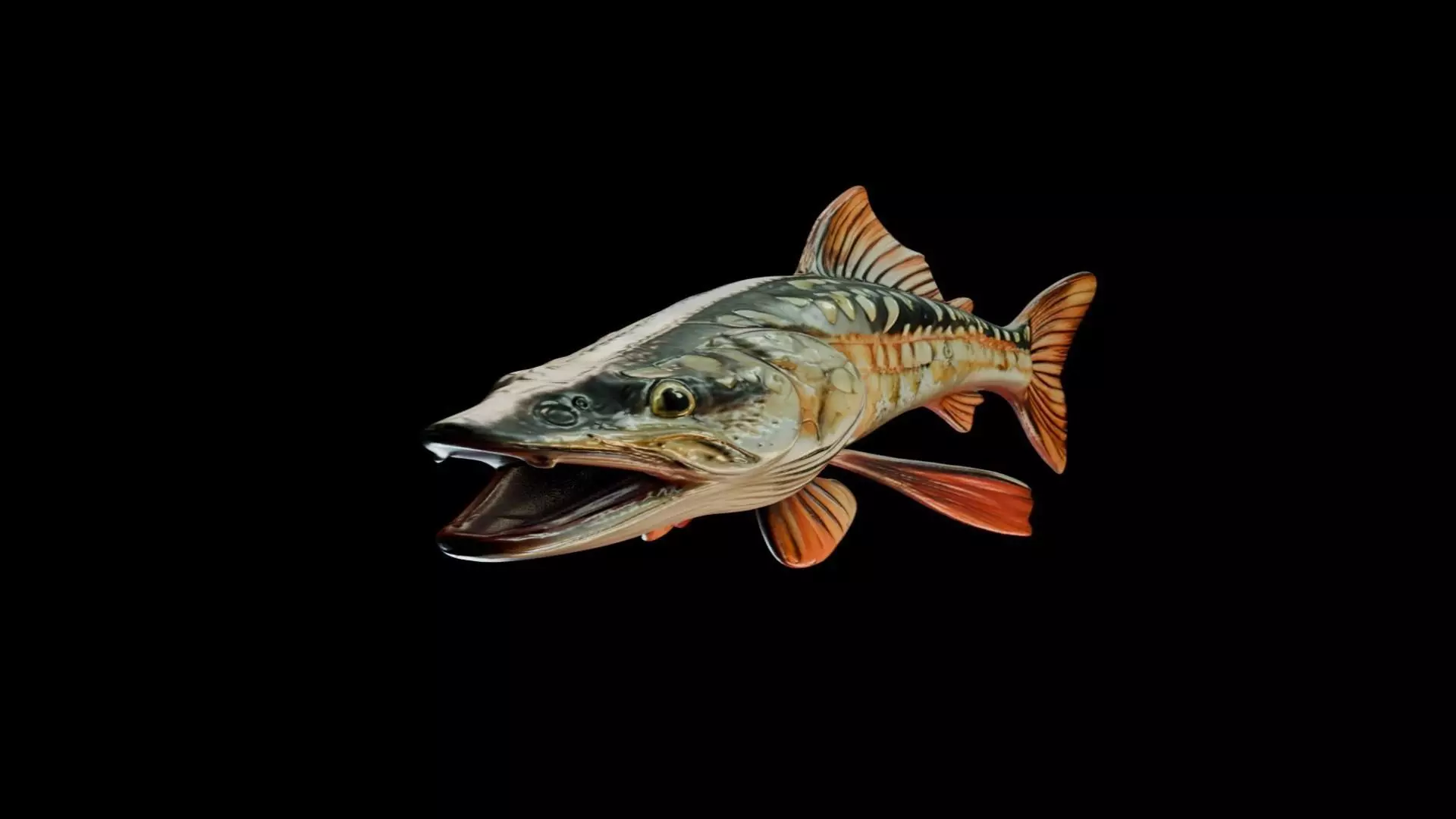 Trophy Fish Pike 2 3D model_0