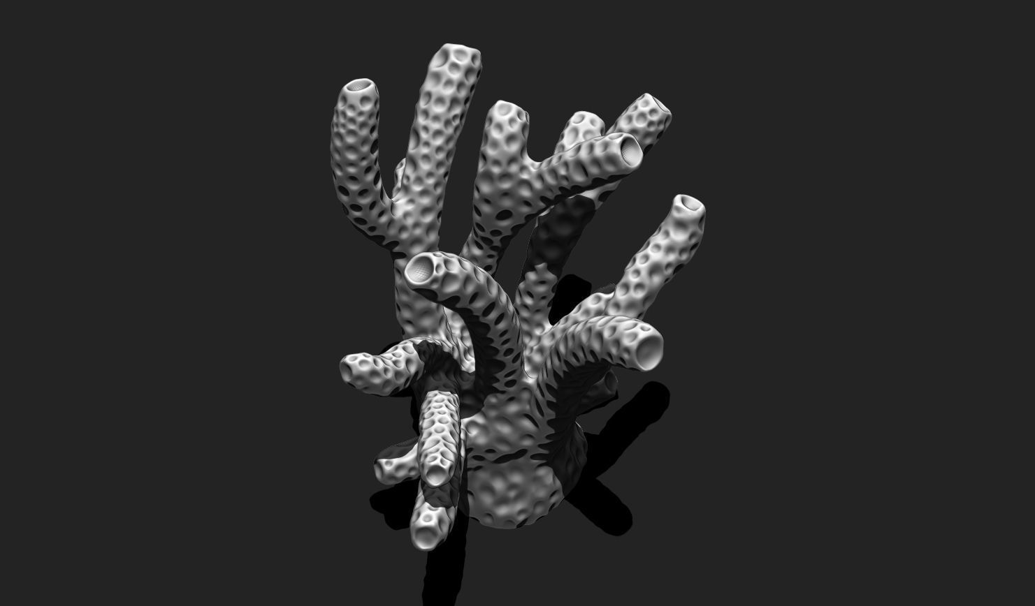 Coral 6 for 3D Printing - STL 3D Print - Aquarium - Home Decor 3D print model_16