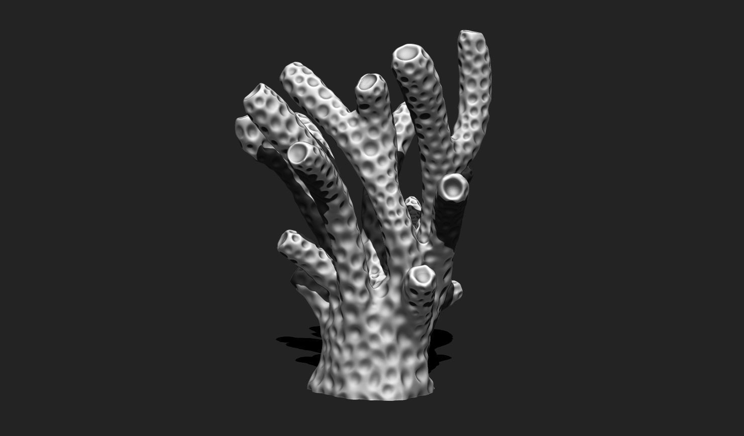 Coral 6 for 3D Printing - STL 3D Print - Aquarium - Home Decor 3D print model_9