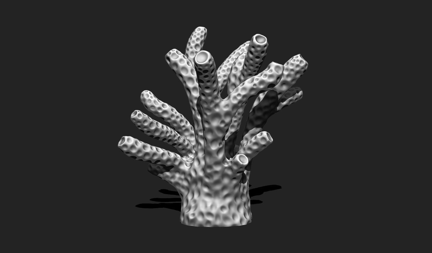 Coral 6 for 3D Printing - STL 3D Print - Aquarium - Home Decor 3D print model_6