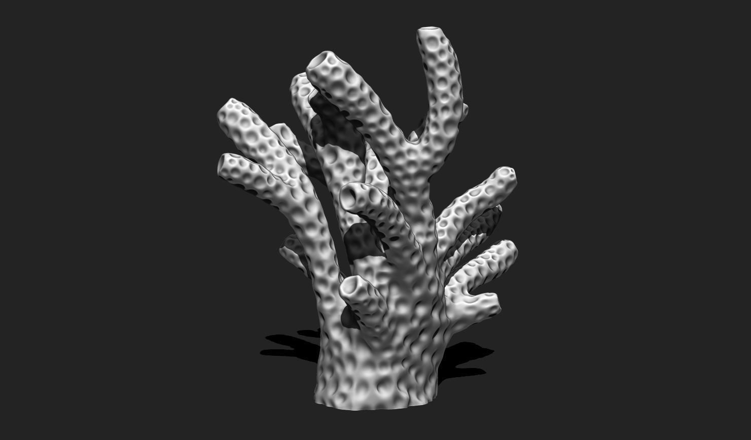 Coral 6 for 3D Printing - STL 3D Print - Aquarium - Home Decor 3D print model_4