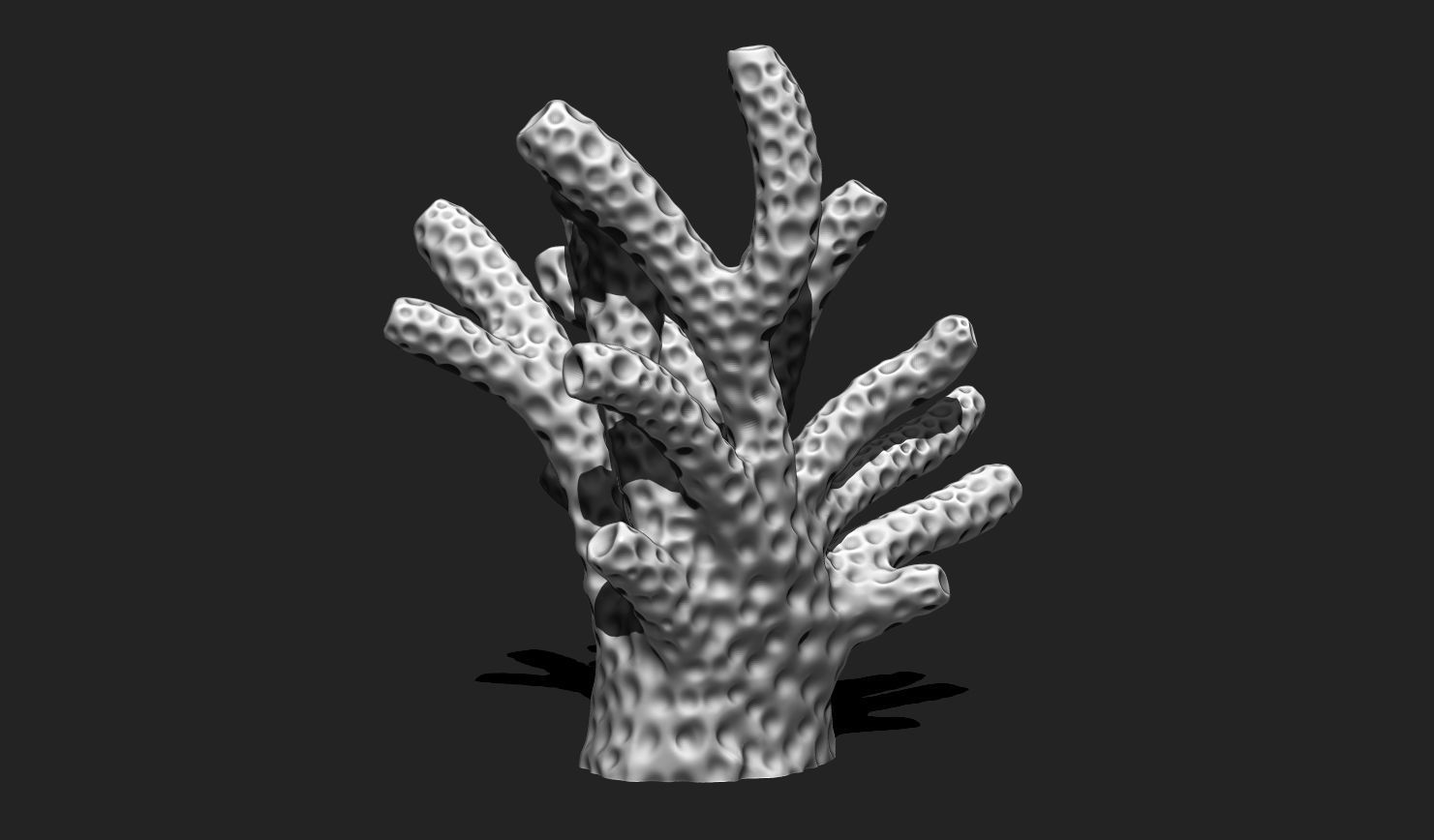 Coral 6 for 3D Printing - STL 3D Print - Aquarium - Home Decor 3D print model_10