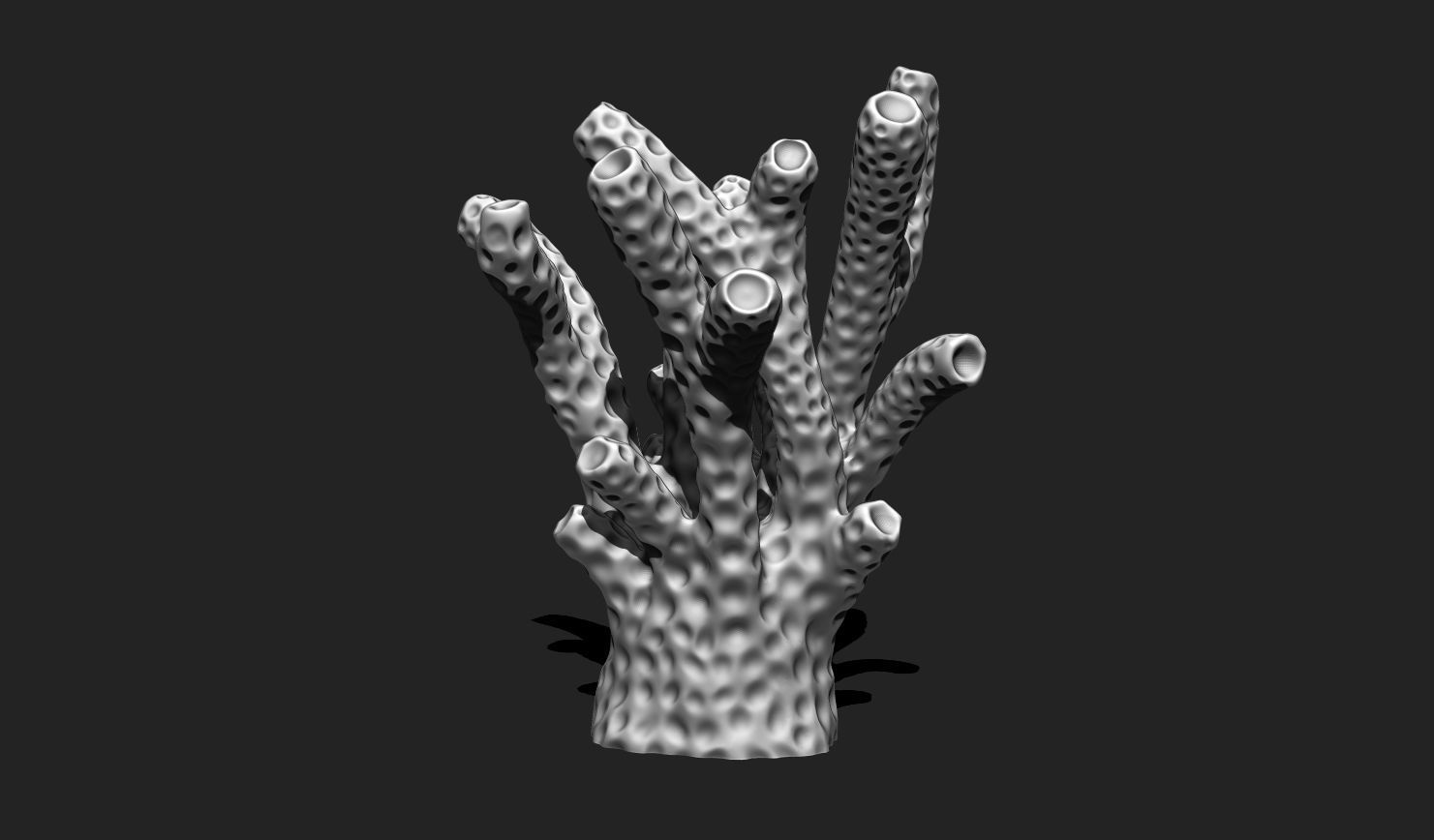 Coral 6 for 3D Printing - STL 3D Print - Aquarium - Home Decor 3D print model_8