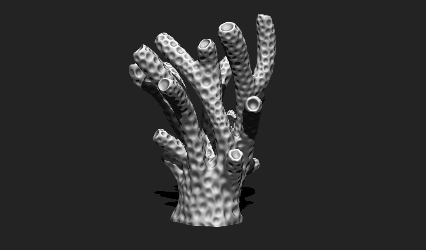 Coral 6 for 3D Printing - STL 3D Print - Aquarium - Home Decor 3D print model_3