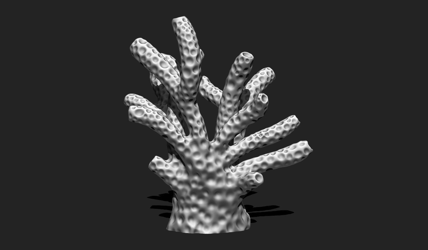 Coral 6 for 3D Printing - STL 3D Print - Aquarium - Home Decor 3D print model_5