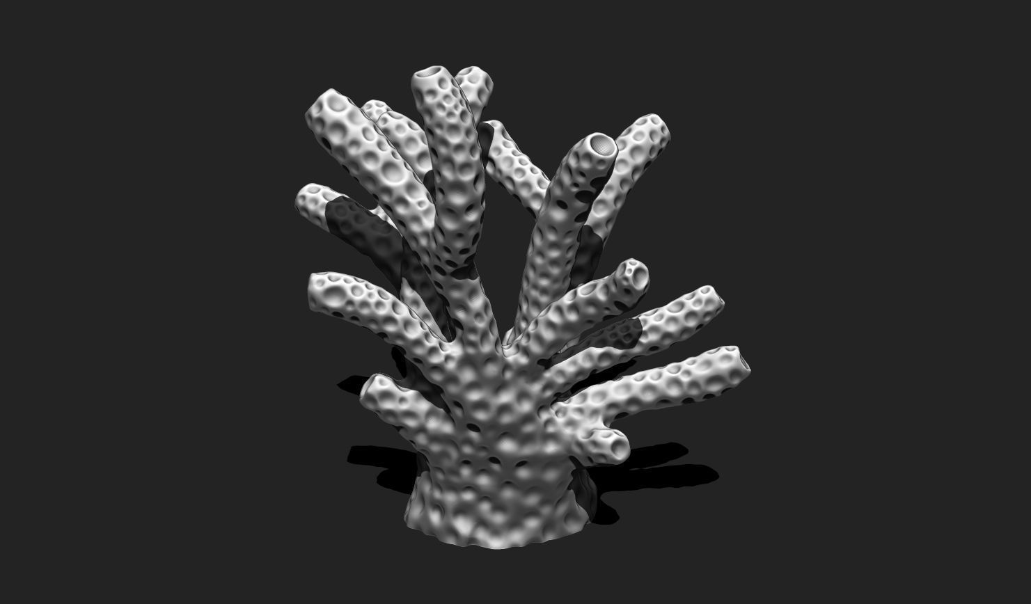 Coral 6 for 3D Printing - STL 3D Print - Aquarium - Home Decor 3D print model_17