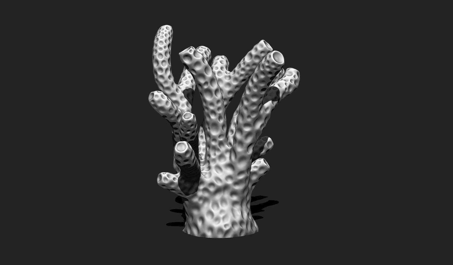 Coral 6 for 3D Printing - STL 3D Print - Aquarium - Home Decor 3D print model_2