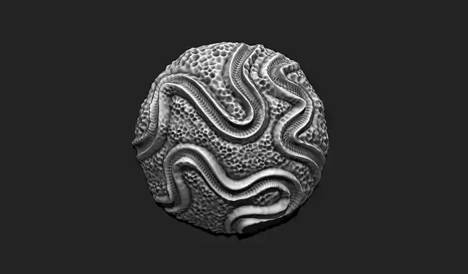 Coral Fossil 01 for 3D Printing - STL 3D - Aquarium - Science 3D print model
