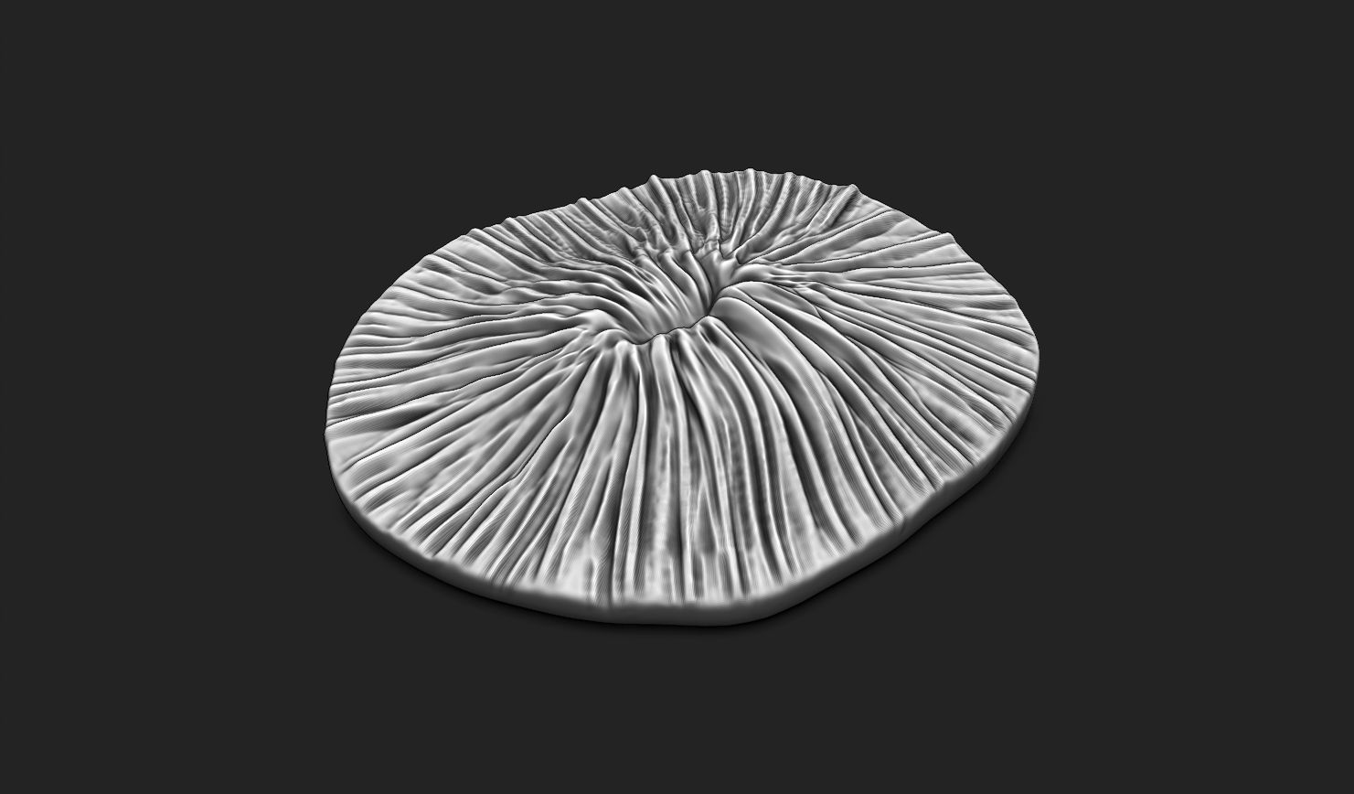 Coral Fossil 02 for 3D Printing - STL 3D - Aquarium - Science 3D print model_14