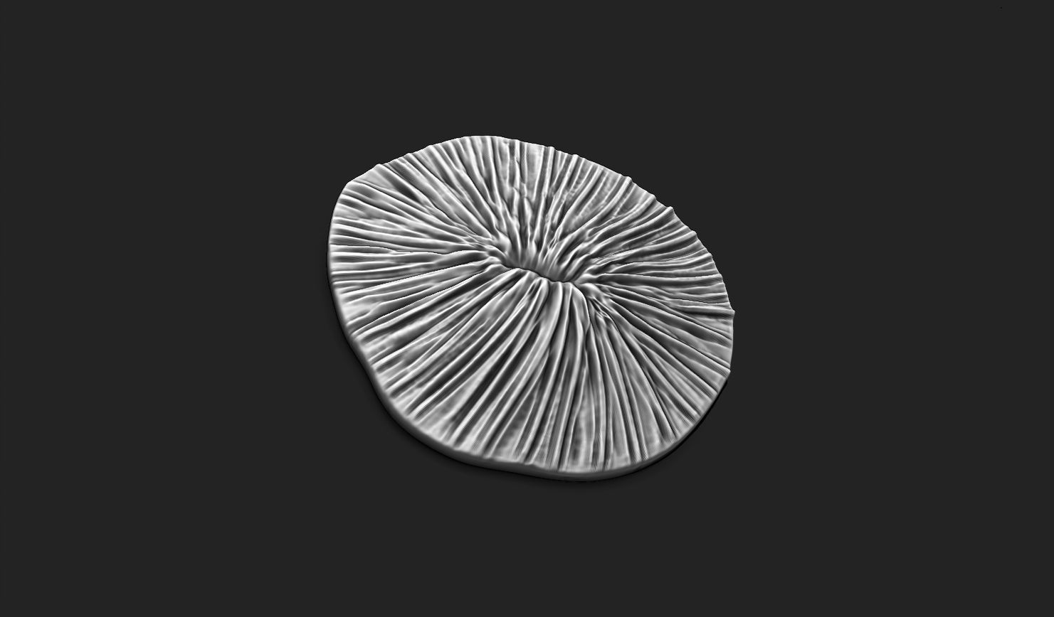 Coral Fossil 02 for 3D Printing - STL 3D - Aquarium - Science 3D print model_4