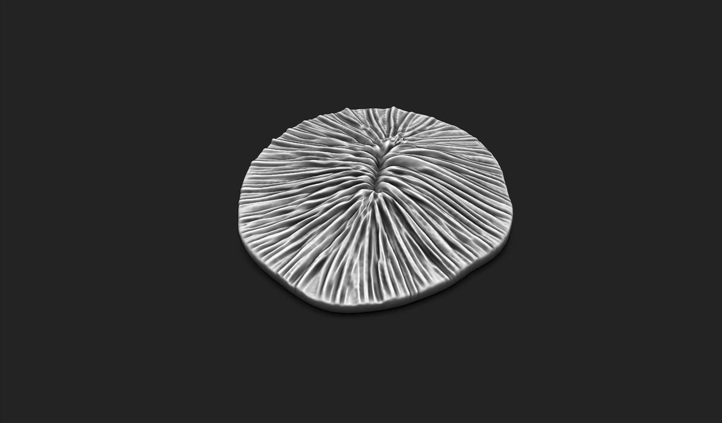 Coral Fossil 02 for 3D Printing - STL 3D - Aquarium - Science 3D print model_6