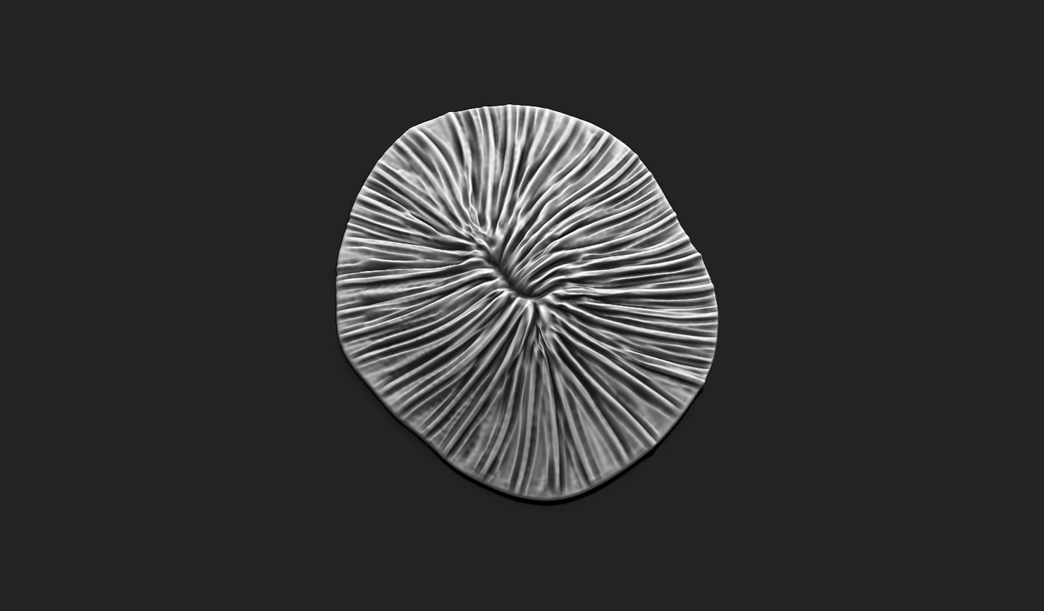 Coral Fossil 02 for 3D Printing - STL 3D - Aquarium - Science 3D print model_12