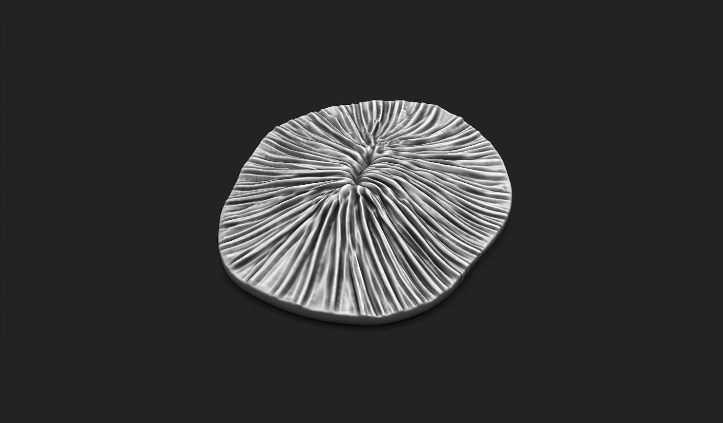 Coral Fossil 02 for 3D Printing - STL 3D - Aquarium - Science 3D print model_10