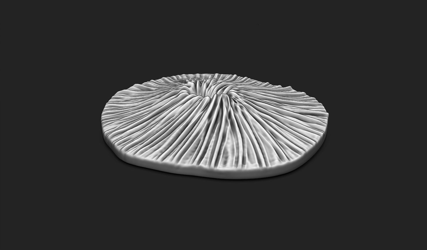 Coral Fossil 02 for 3D Printing - STL 3D - Aquarium - Science 3D print model_13