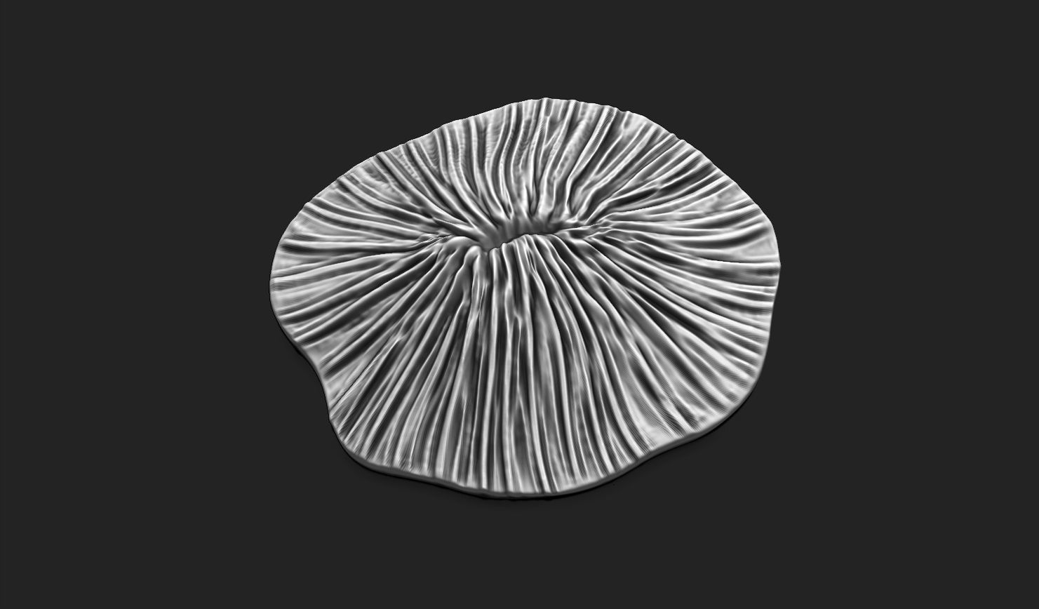 Coral Fossil 02 for 3D Printing - STL 3D - Aquarium - Science 3D print model_16