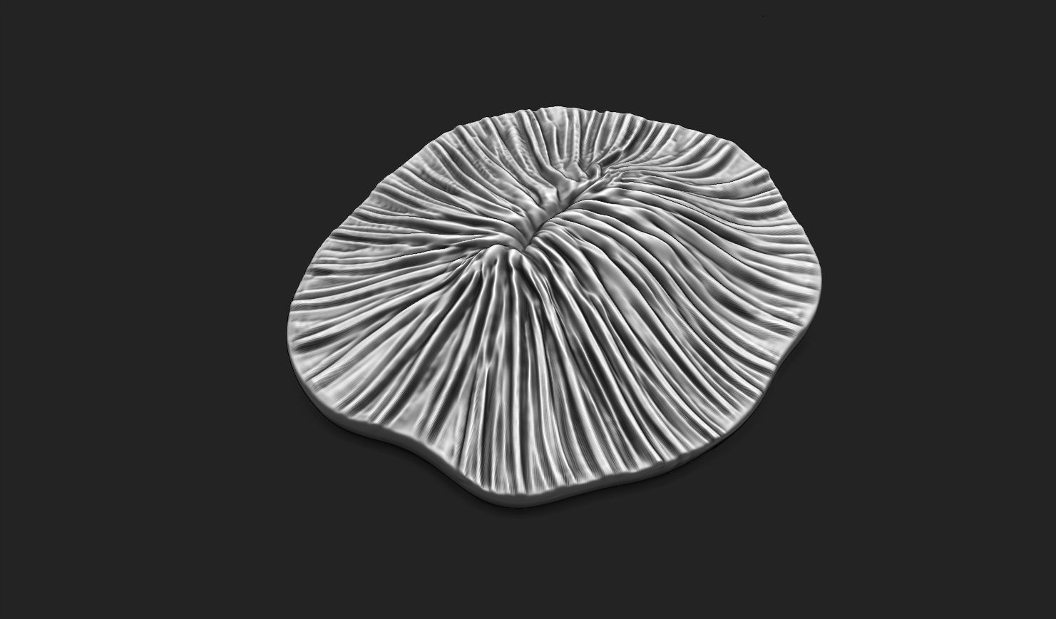 Coral Fossil 02 for 3D Printing - STL 3D - Aquarium - Science 3D print model_17