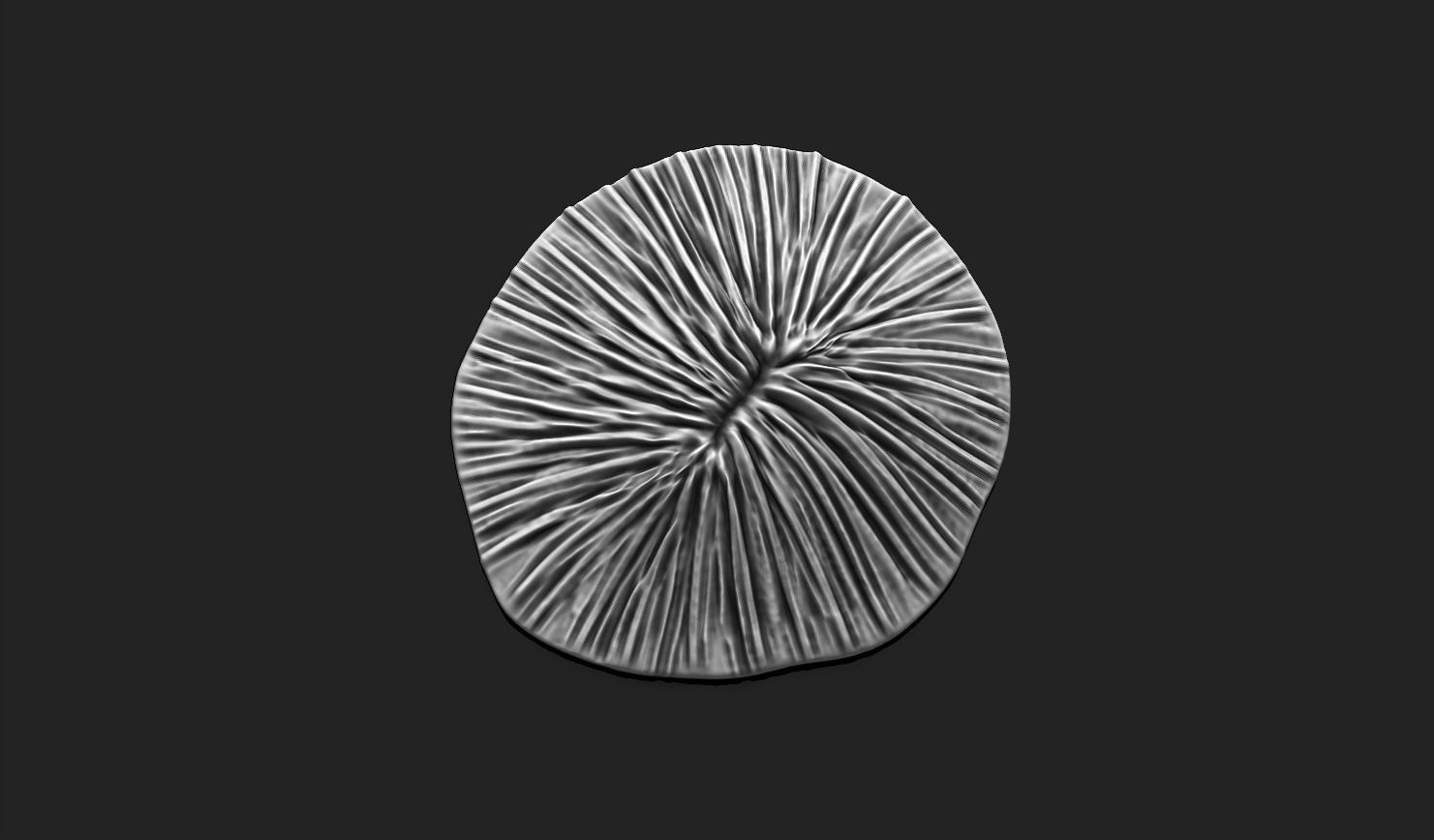 Coral Fossil 02 for 3D Printing - STL 3D - Aquarium - Science 3D print model_5