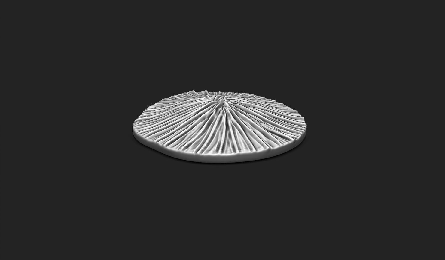 Coral Fossil 02 for 3D Printing - STL 3D - Aquarium - Science 3D print model_2