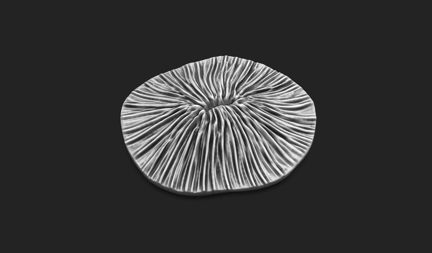 Coral Fossil 02 for 3D Printing - STL 3D - Aquarium - Science 3D print model_9
