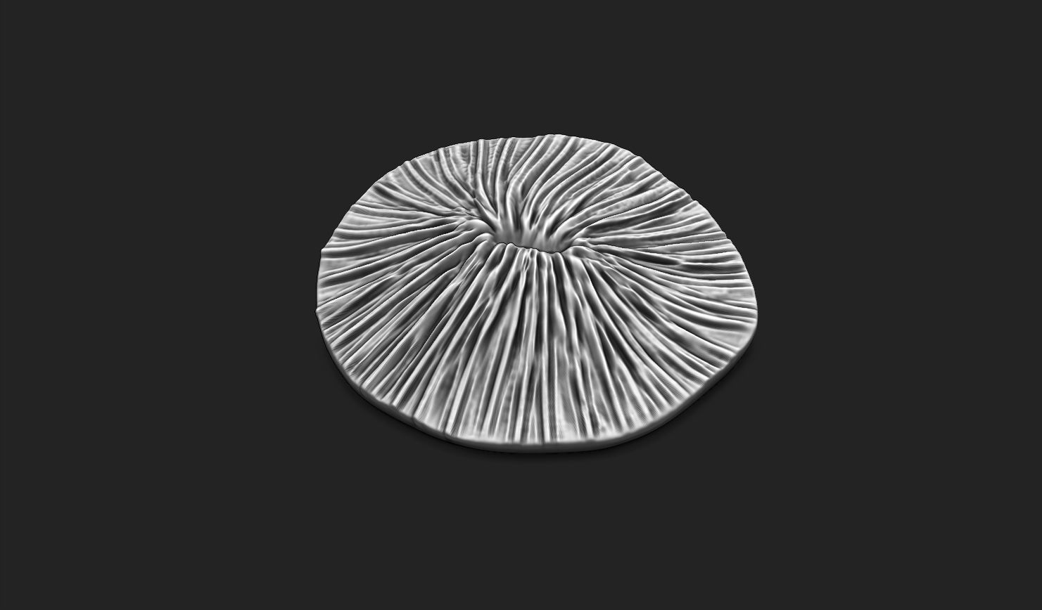 Coral Fossil 02 for 3D Printing - STL 3D - Aquarium - Science 3D print model_7