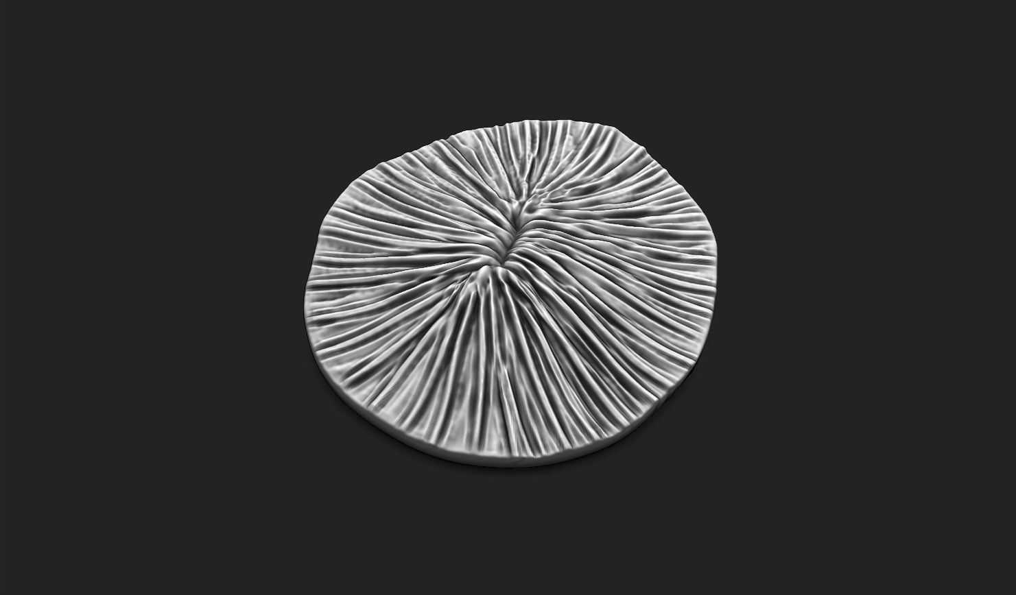 Coral Fossil 02 for 3D Printing - STL 3D - Aquarium - Science 3D print model_8