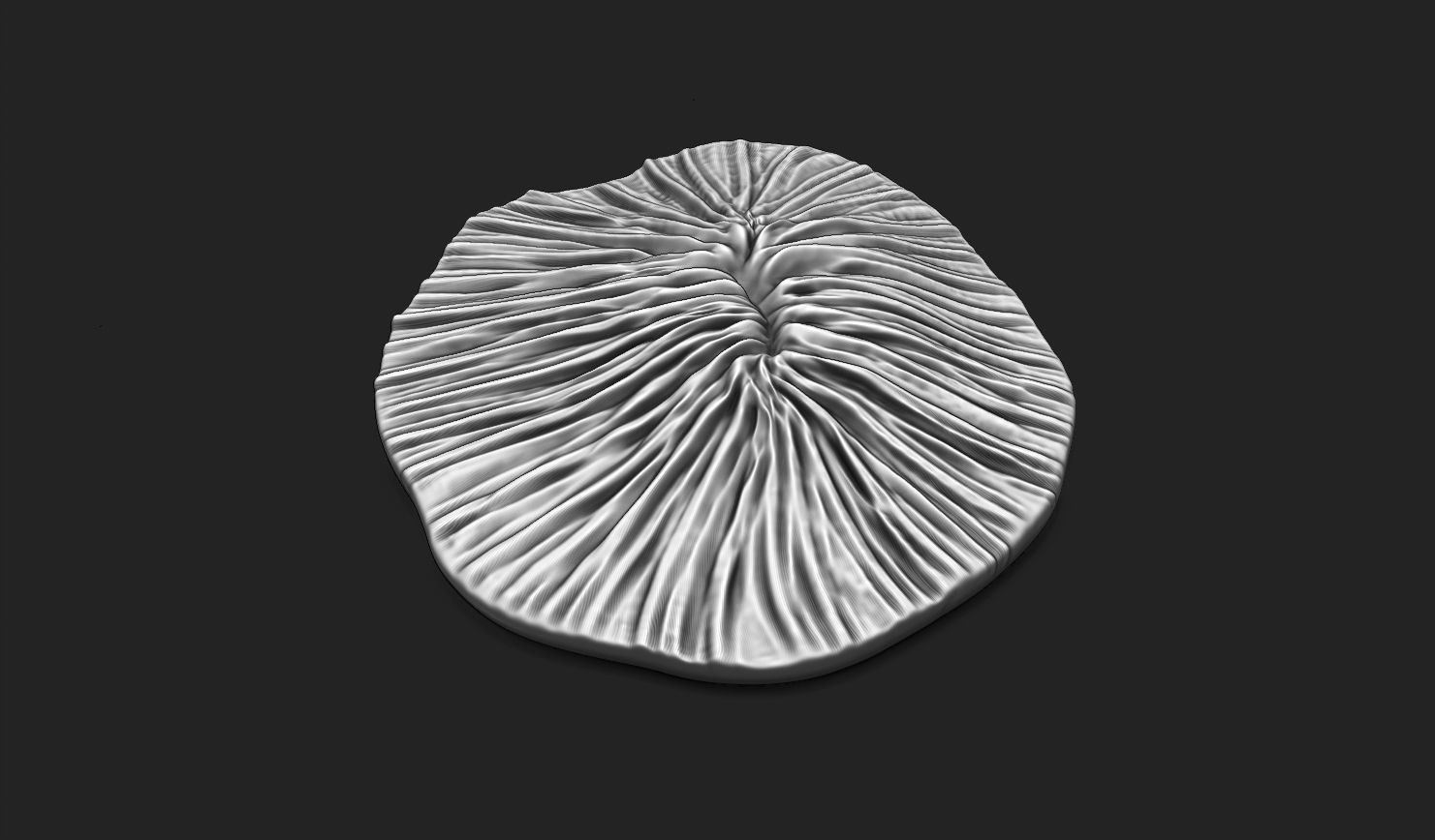 Coral Fossil 02 for 3D Printing - STL 3D - Aquarium - Science 3D print model_15
