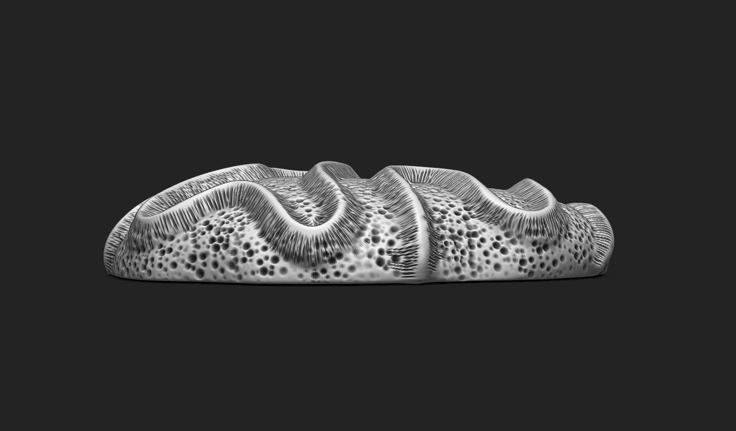 Coral Fossil 03 for 3D Printing - STL 3D - Aquarium - Science 3D print model_6
