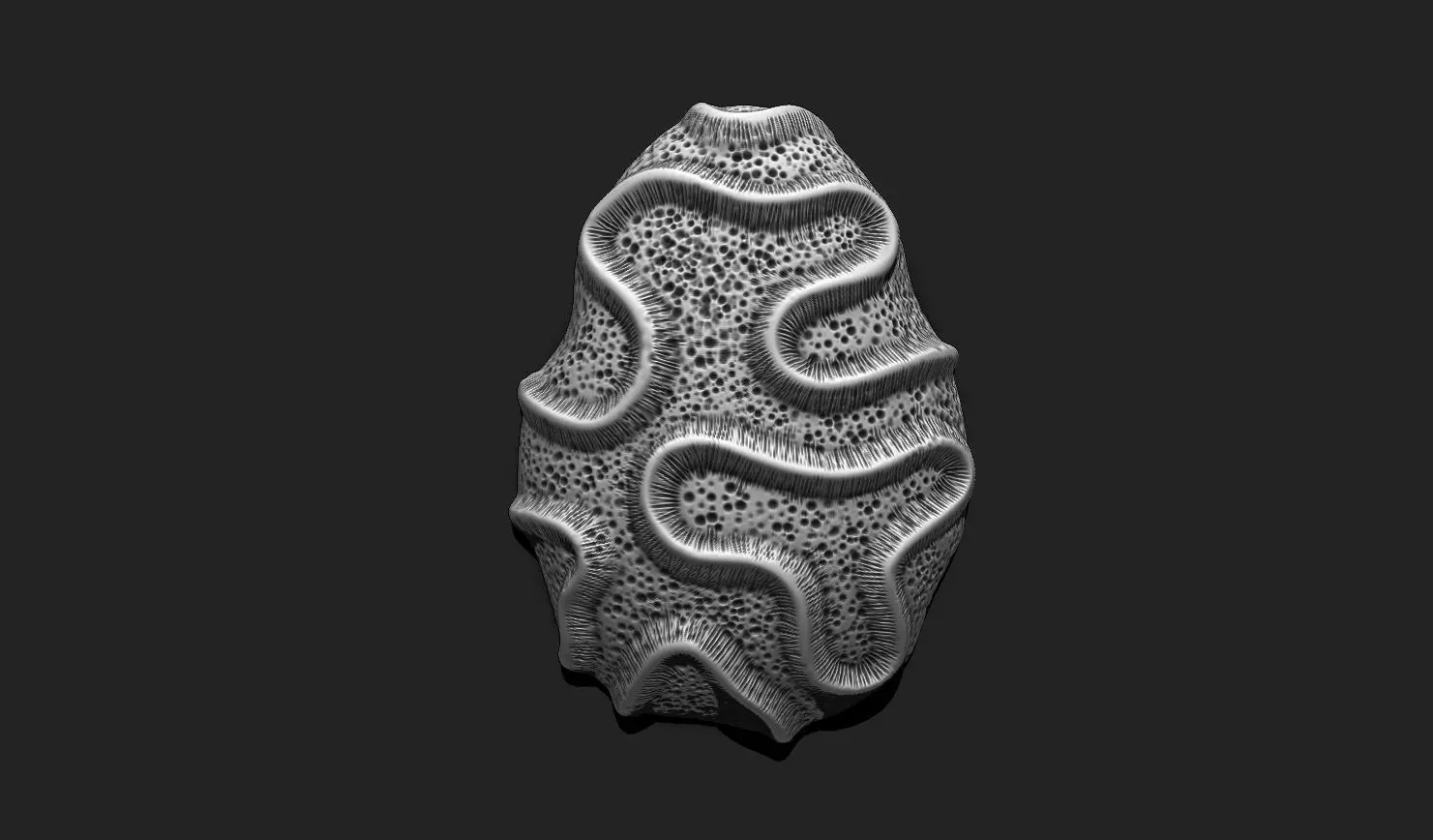 Coral Fossil 03 for 3D Printing - STL 3D - Aquarium - Science 3D print model_0