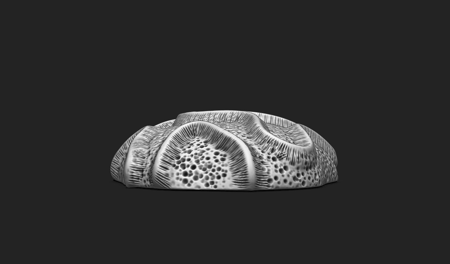 Coral Fossil 03 for 3D Printing - STL 3D - Aquarium - Science 3D print model_1