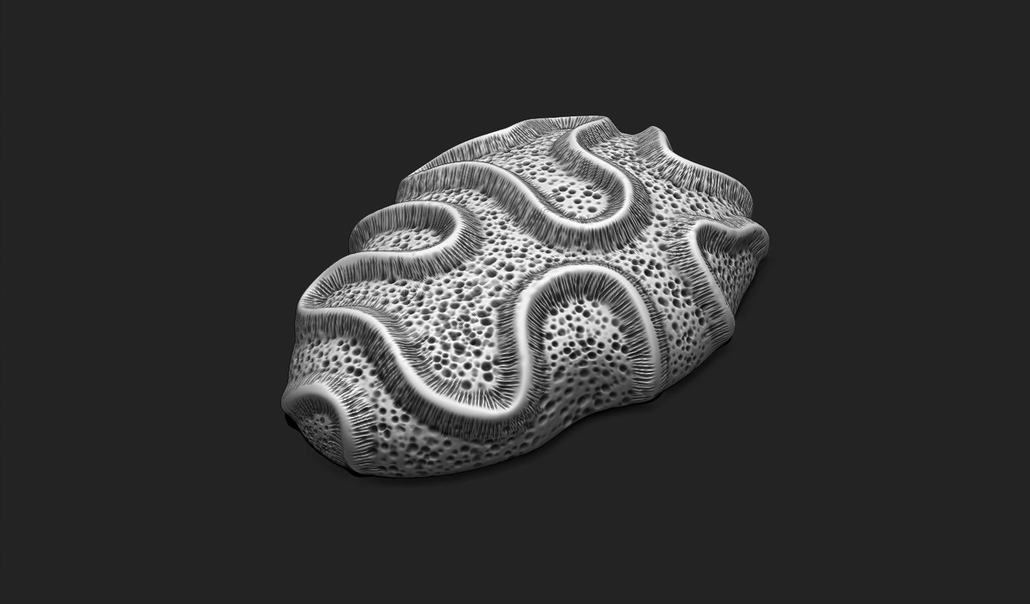 Coral Fossil 03 for 3D Printing - STL 3D - Aquarium - Science 3D print model_10