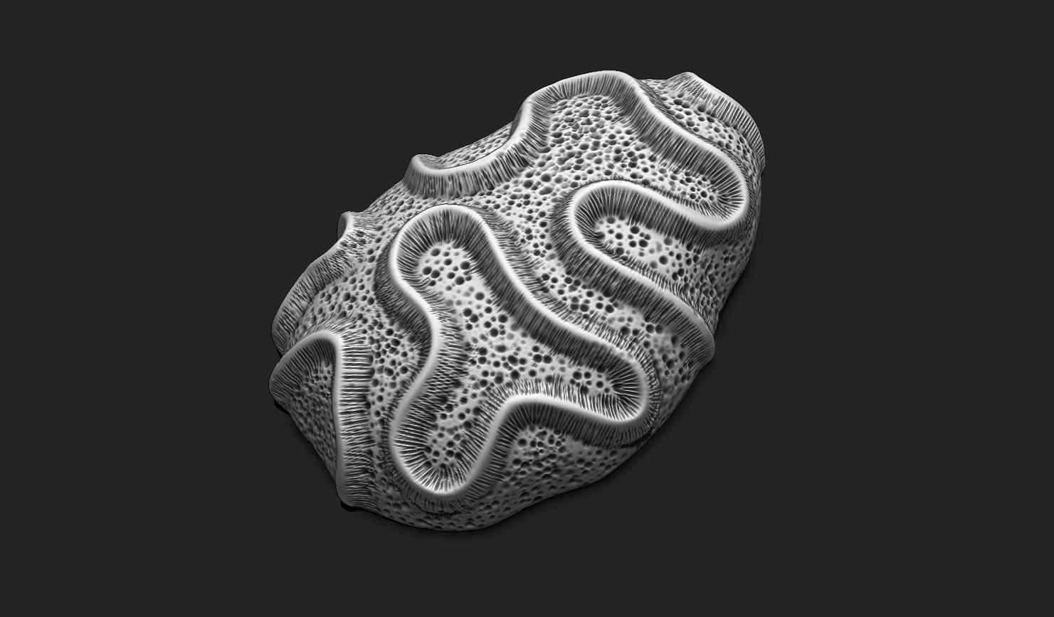 Coral Fossil 03 for 3D Printing - STL 3D - Aquarium - Science 3D print model_8
