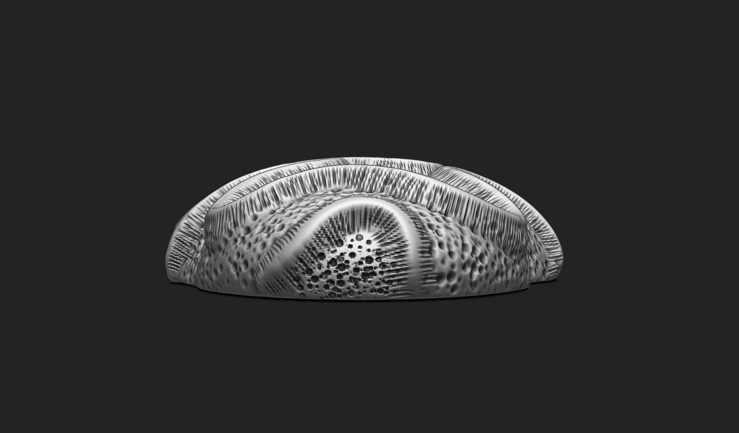 Coral Fossil 03 for 3D Printing - STL 3D - Aquarium - Science 3D print model_4