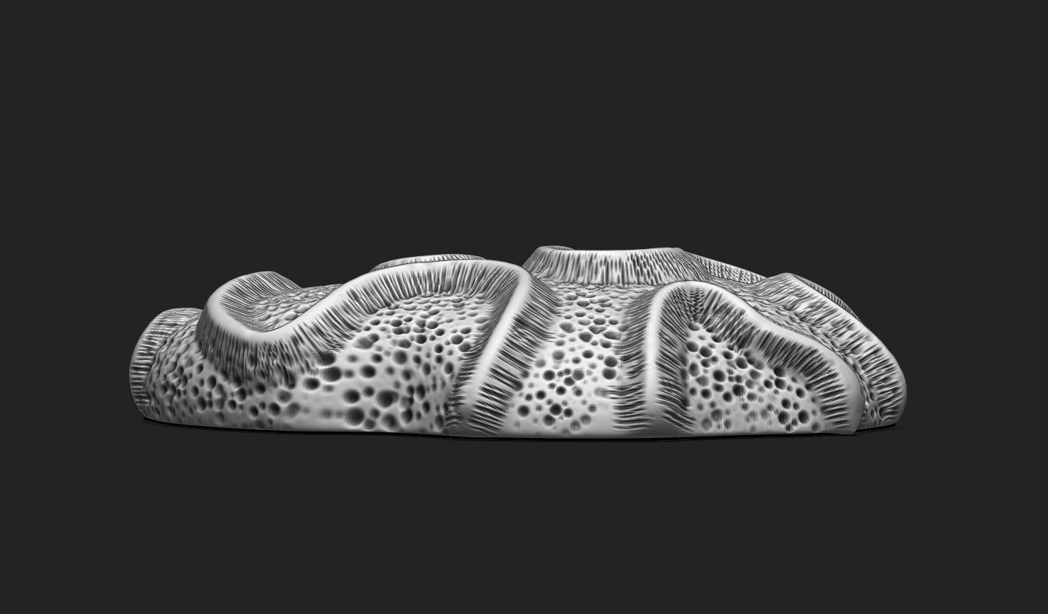 Coral Fossil 03 for 3D Printing - STL 3D - Aquarium - Science 3D print model_2
