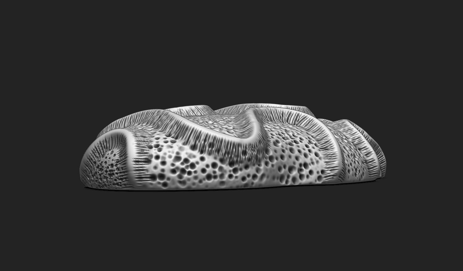 Coral Fossil 03 for 3D Printing - STL 3D - Aquarium - Science 3D print model_3