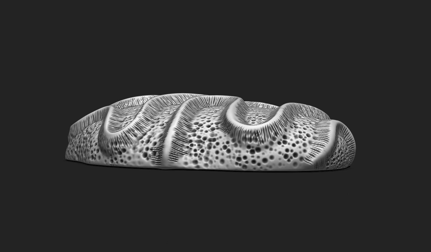 Coral Fossil 03 for 3D Printing - STL 3D - Aquarium - Science 3D print model_5