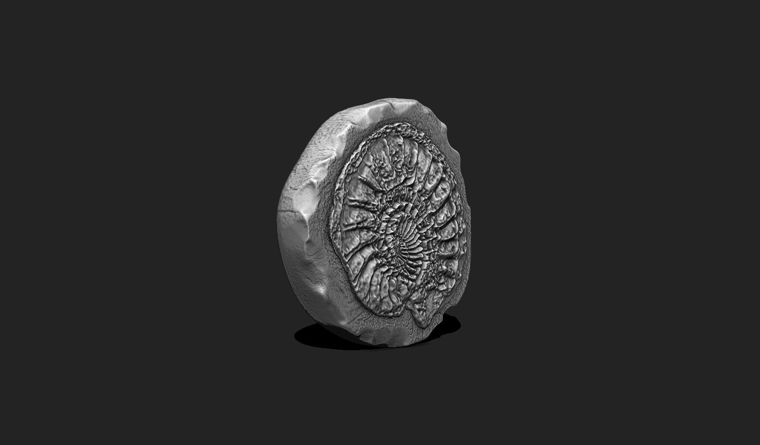 Marine Fossils for 3D Printing - STL 3D - Aquarium - Biology 3D print model_13