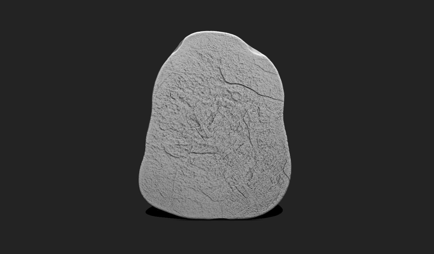 Marine Fossils for 3D Printing - STL 3D - Aquarium - Biology 3D print model_10