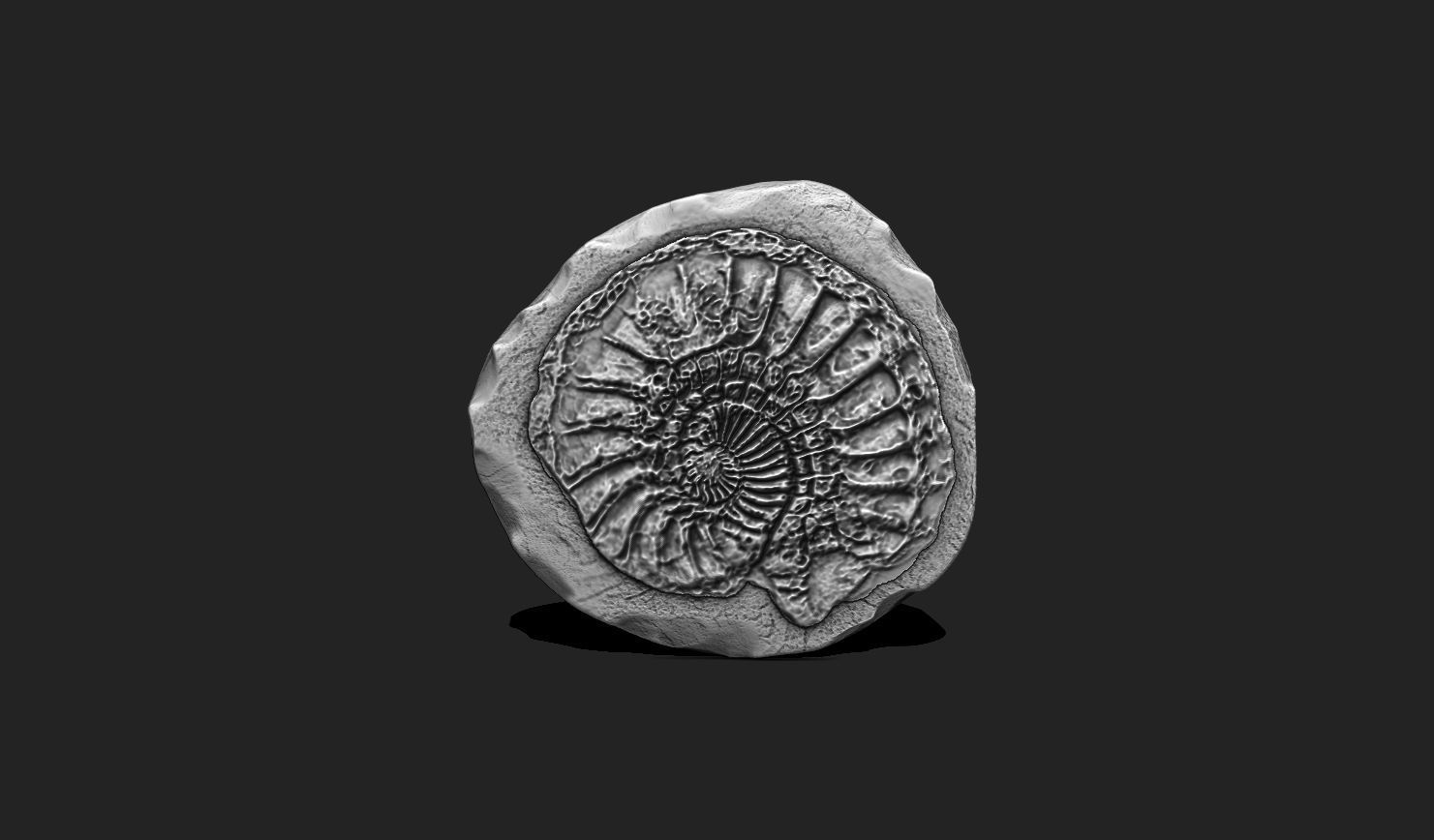 Marine Fossils for 3D Printing - STL 3D - Aquarium - Biology 3D print model_12