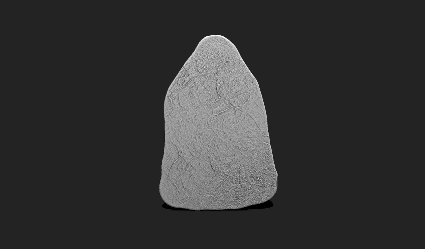 Marine Fossils for 3D Printing - STL 3D - Aquarium - Biology 3D print model_5