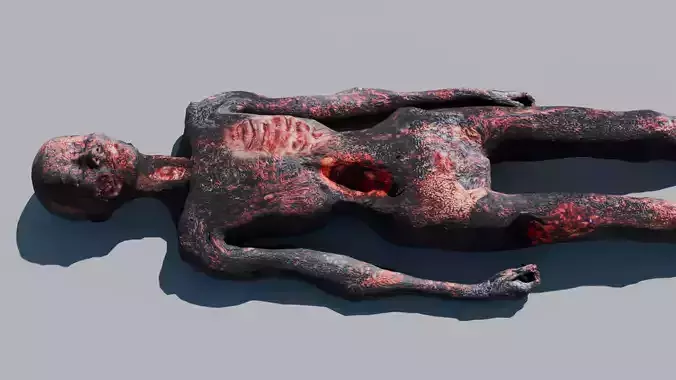 3D Human Corpse Burnt 3D model