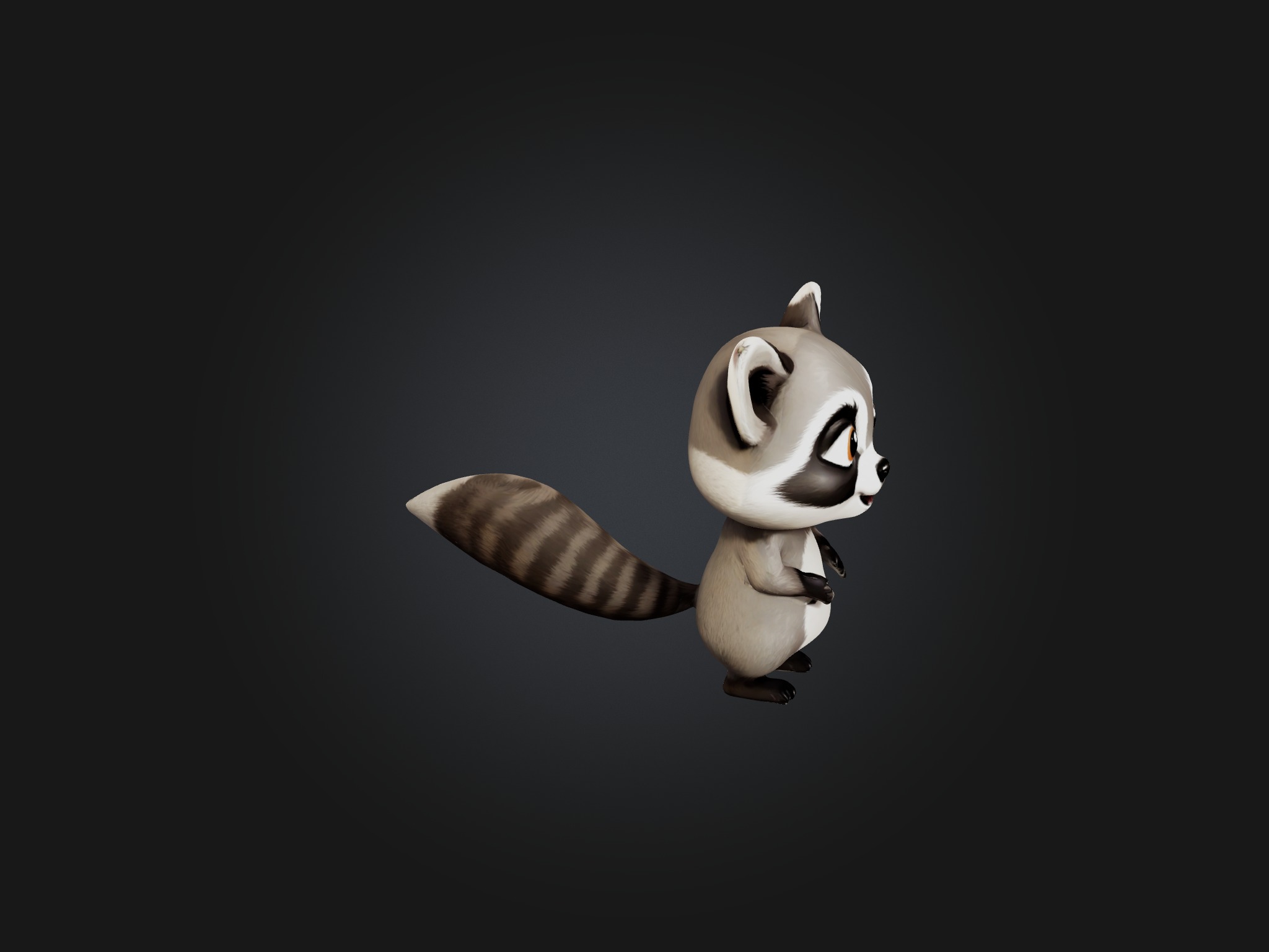 Cartoon Raccoon Low-poly 3D model_8