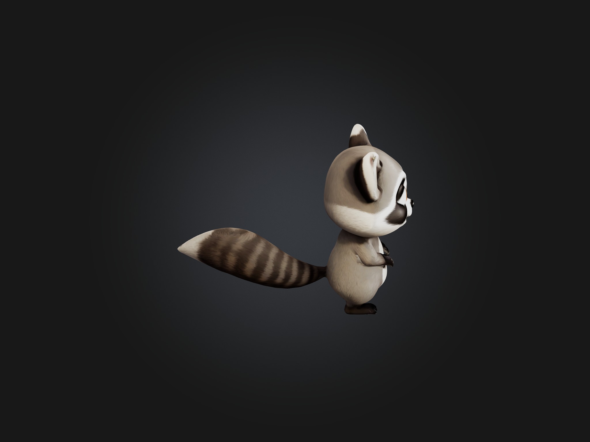 Cartoon Raccoon Low-poly 3D model_4