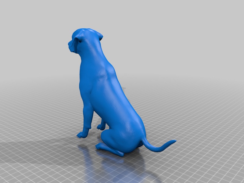 Labrador 3D print model_3