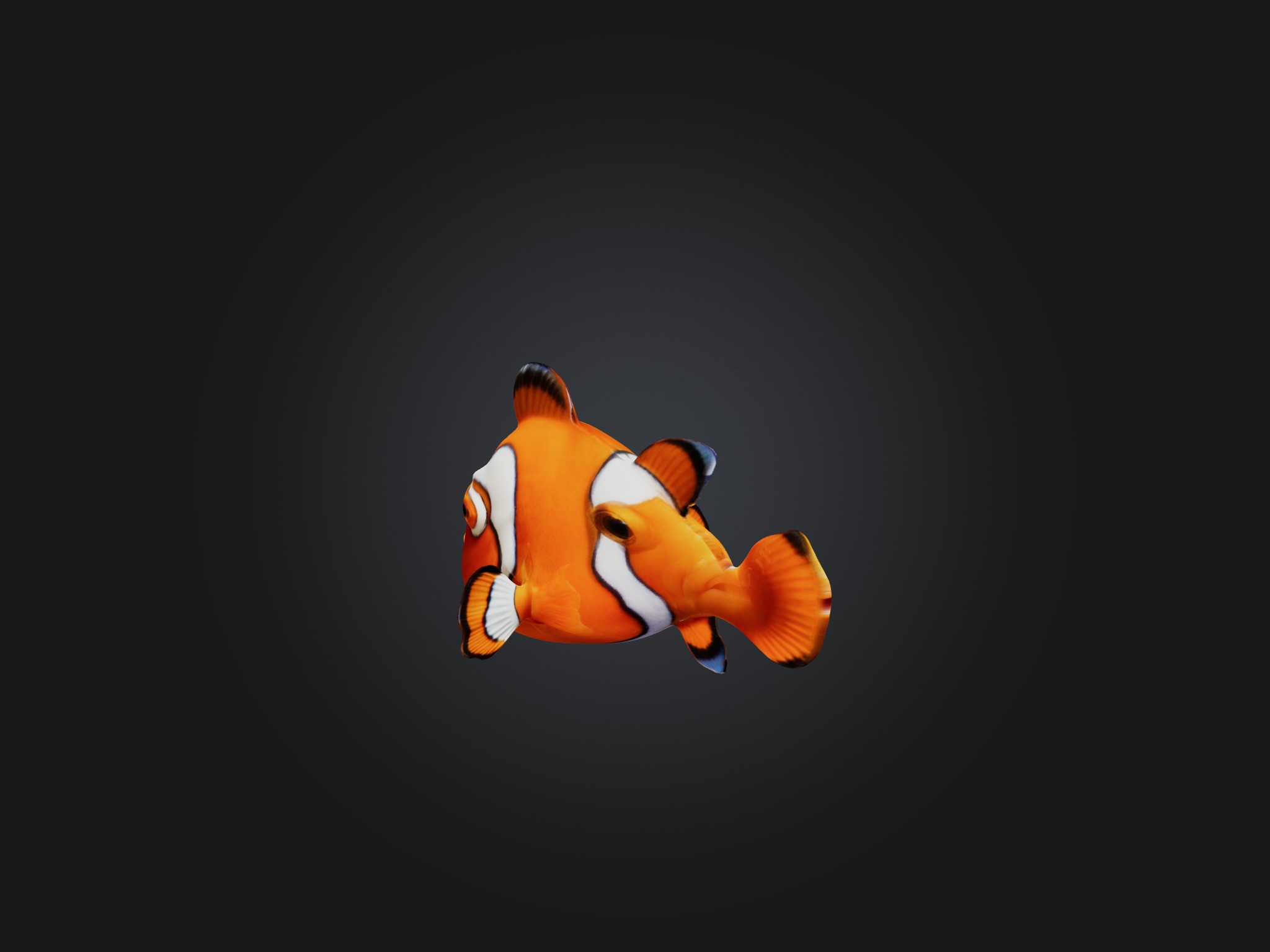 Cartoon Clownfish Low-poly 3D model_7