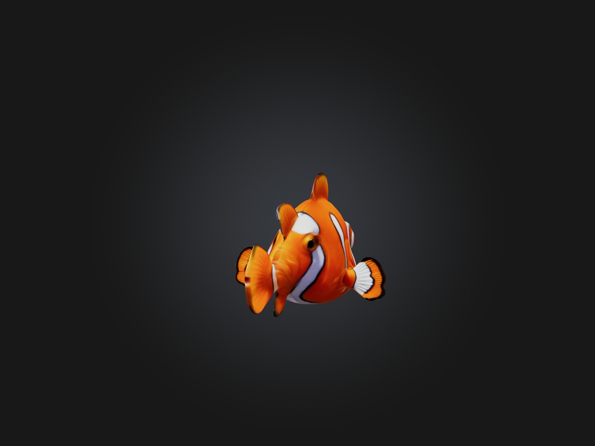 Cartoon Clownfish Low-poly 3D model_3