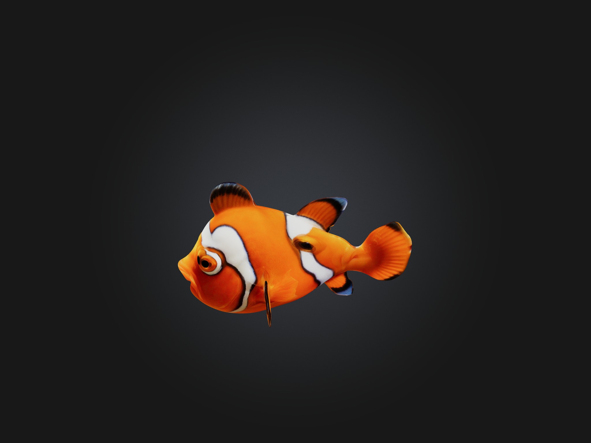 Cartoon Clownfish Low-poly 3D model_4