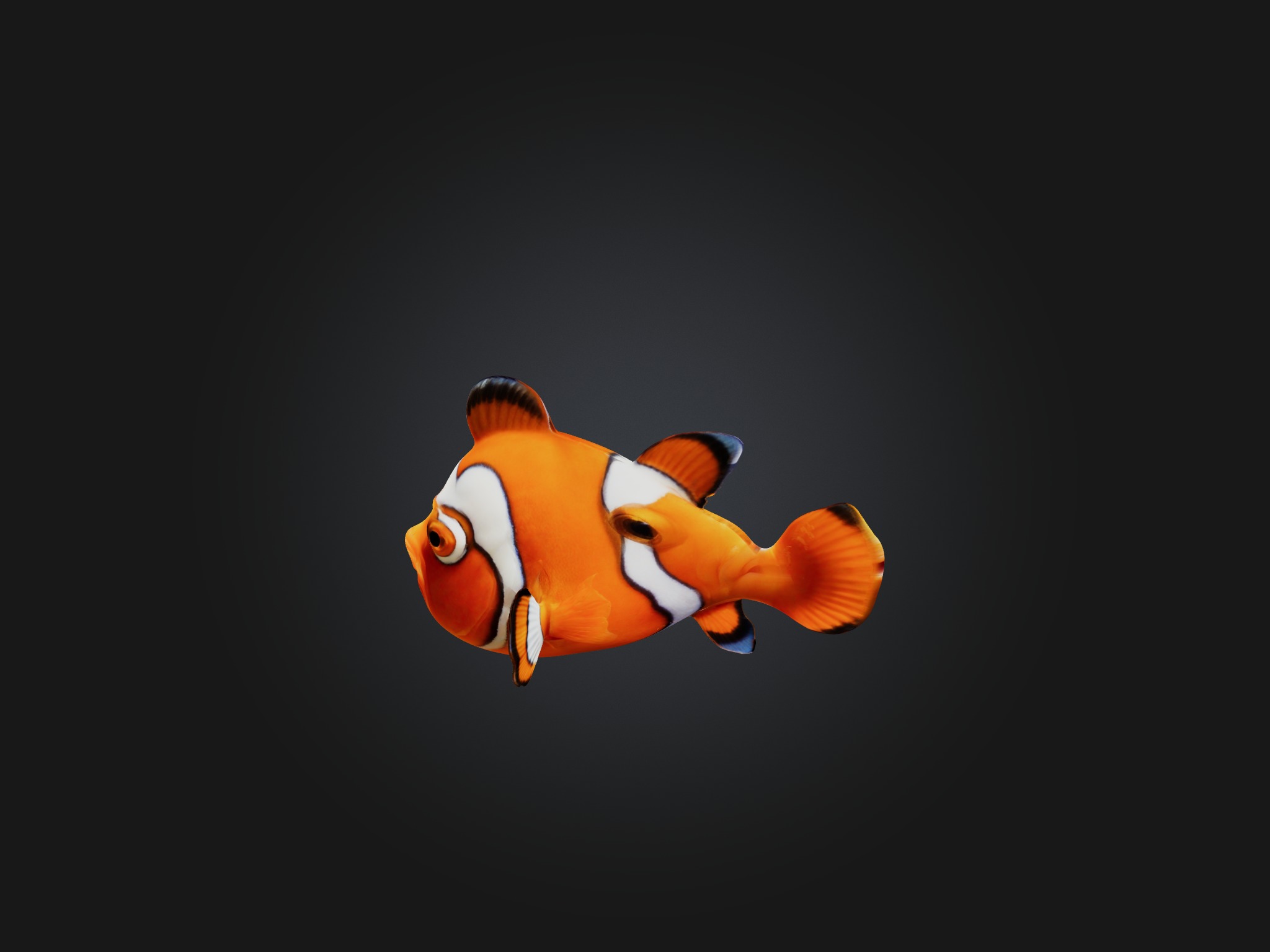 Cartoon Clownfish Low-poly 3D model_8