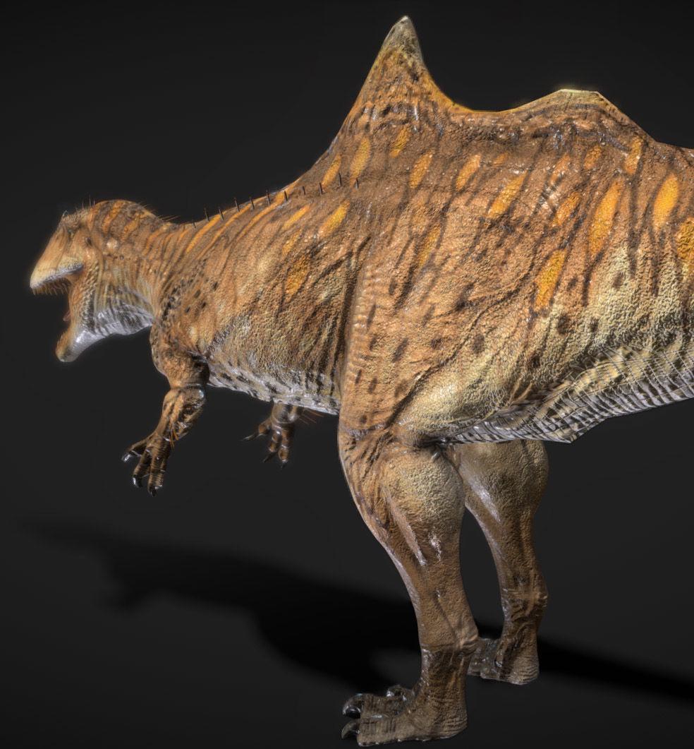 Concavenator Low-poly 3D model_4