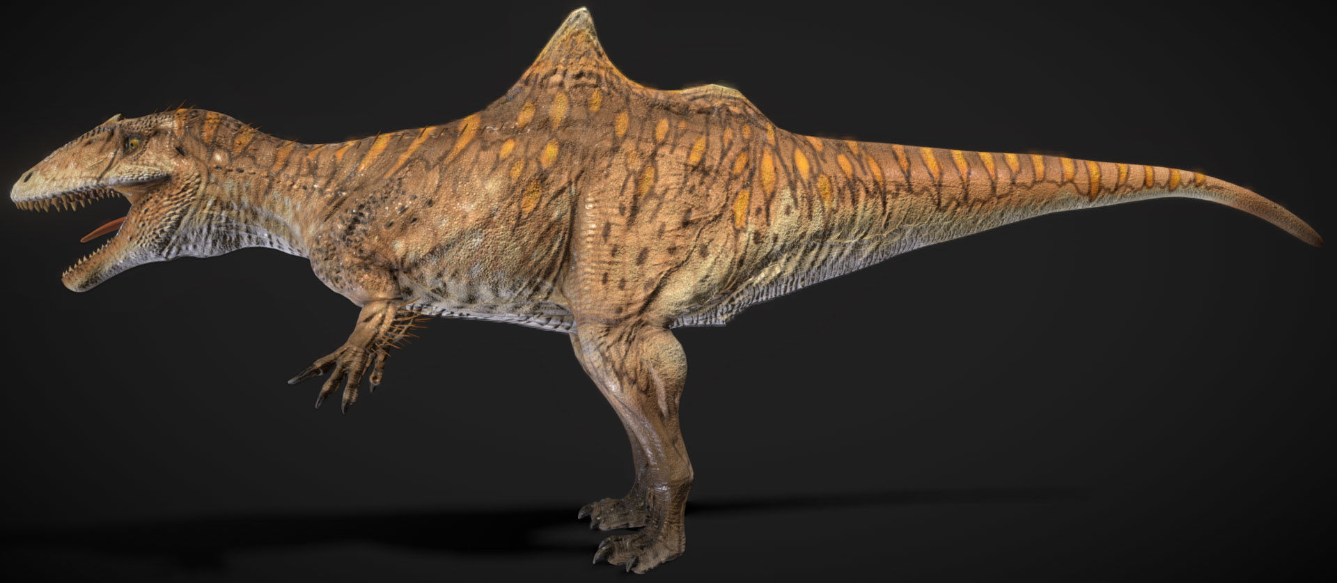 Concavenator Low-poly 3D model_5